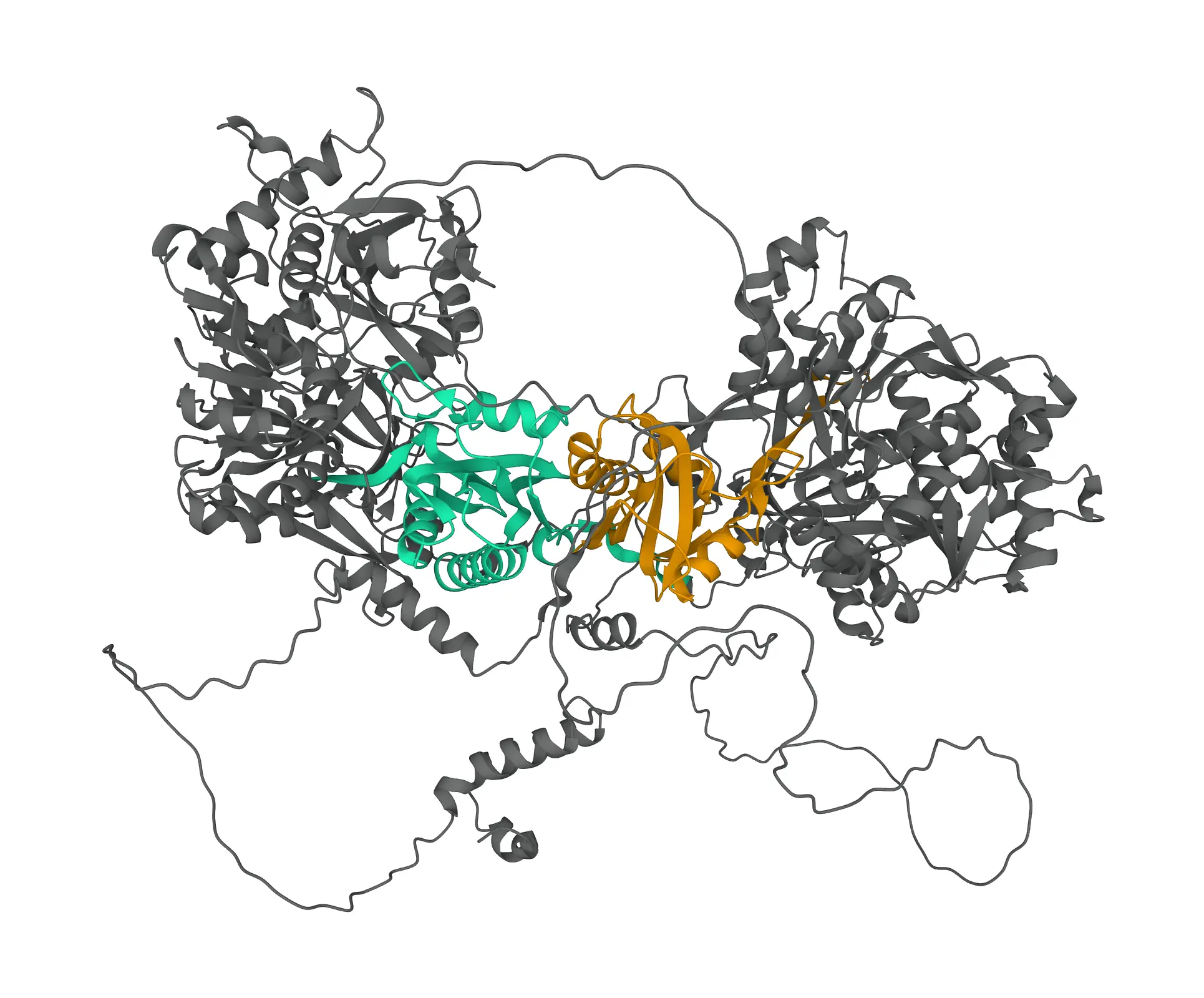pae image 8